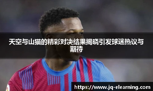 中欧体育网址